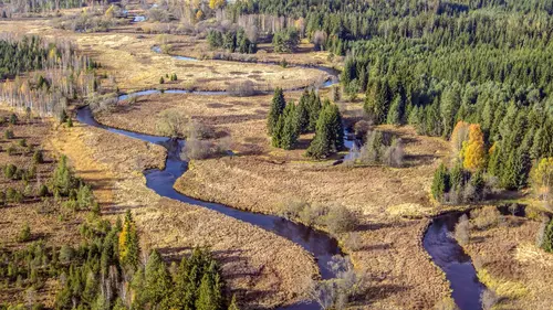 Le ruisseau
