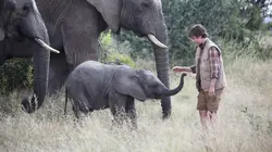 Visuel de Le safari de tous les dangers 2