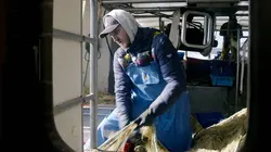 Le salaire de la mer