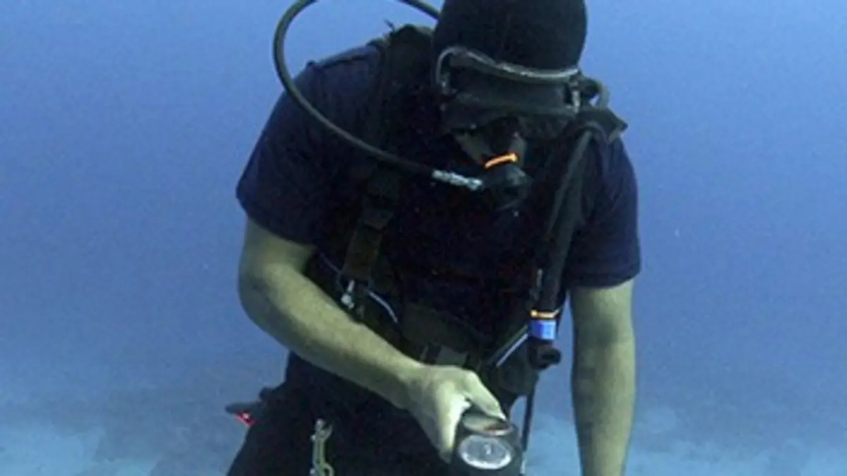 Le salaire des profondeurs