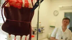 Visuel de Le sang : une quête permanente