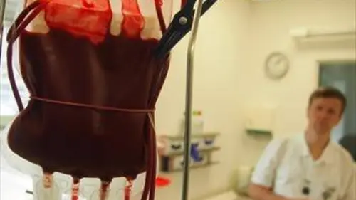 Le sang : une quête permanente