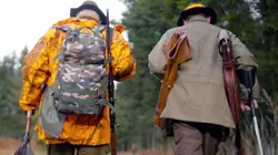 Le sanglier : l'indésirable ?