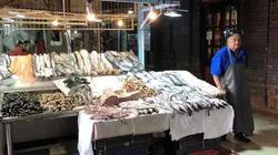 Le saumon, le bon filon