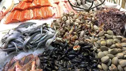 Le saumon, le bon filon