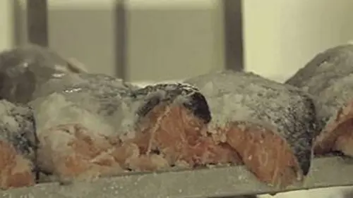 Le saumon, un remède à la crise alimentaire ?