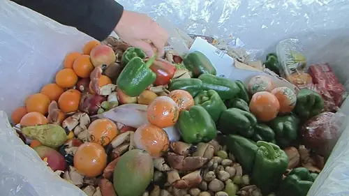 Le scandale du gaspillage alimentaire