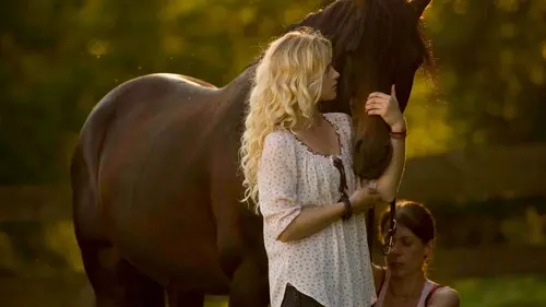 Épisodes de Le secret d'Arman