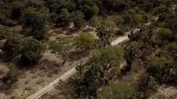 Le secret des masques