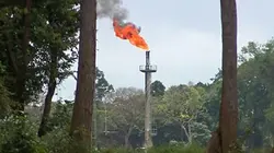 Visuel de Le secret des Sept Soeurs