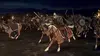 Le Seigneur des anneaux : La guerre des Rohirrim
