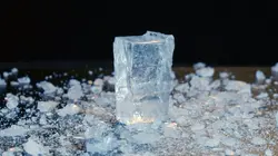 Le sel : Fléau et ressource