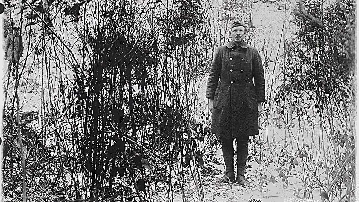 Le singulier destin du Sergeant York