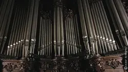 Le souffle de Notre-Dame