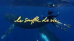 Sur France 4 à 21h00 : Le souffle de vie