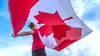 Le spectacle de la fête du Canada