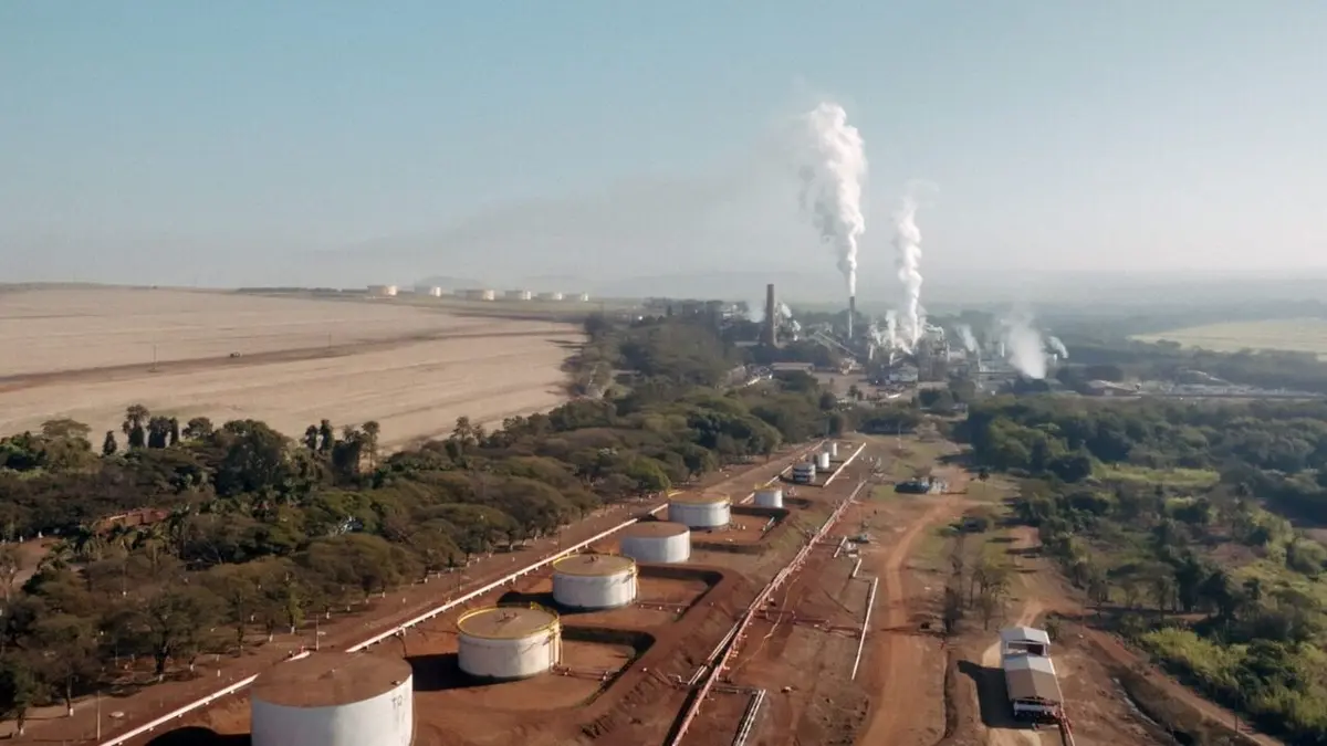 Le sucre, pour la douceur et pour le pire