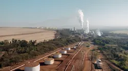 Le sucre, pour la douceur et pour le pire