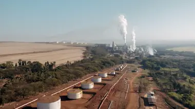 Le sucre, pour la douceur et pour le pire