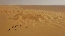 Visuel de Le sultanat d'Oman