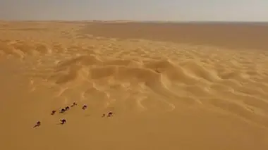 Sur la route de l'encens