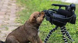 Le super bêtisier Episode 4