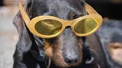 Le super bêtisier Emission n°6