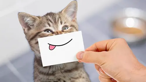 Le super bêtisier S01E10