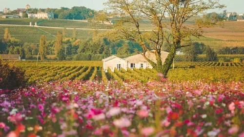 Le temps d'un détour Dordogne