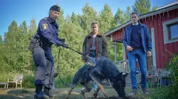 Sur Polar+ à 20h55 : Le temps des loups