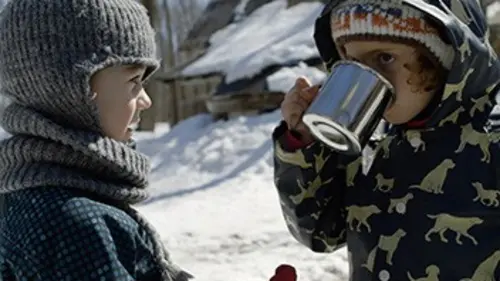 Le temps des sucres On récolte