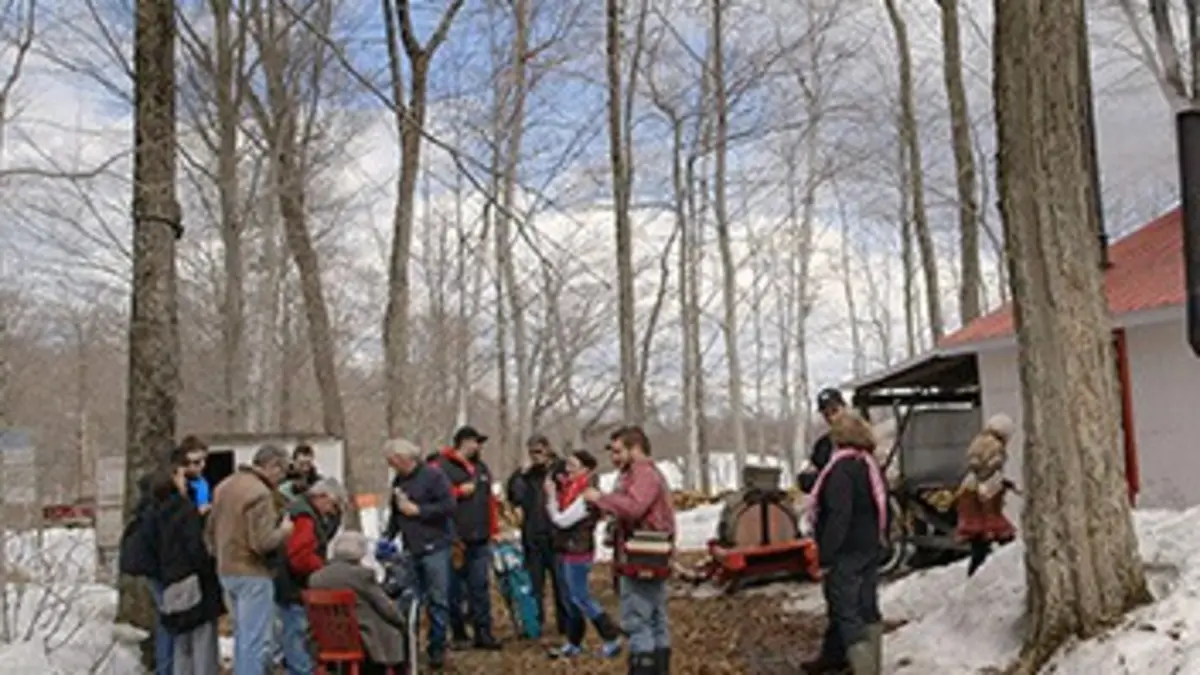 Le temps des sucres On se rassemble