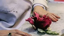 Visuel de Le temps suspendu, les héros discrets de la haute couture