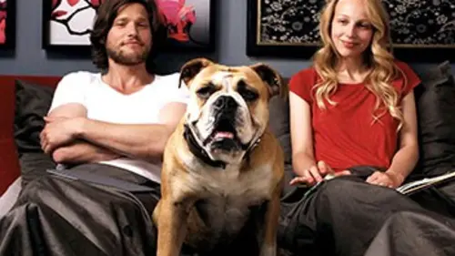 Le test de paternité