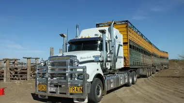 Camions increvables