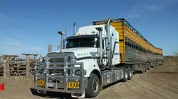 Le top 5 des machines Camions increvables