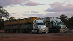 Le top 5 des machines