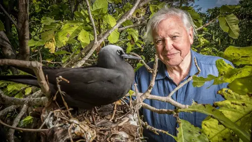 Le tour du monde de David Attenborough Traverser le monde