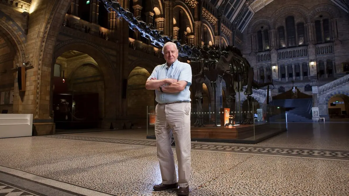 Le tour du monde de David Attenborough Une incroyable aventure