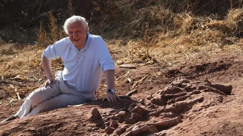 Casting Le tour du monde de David Attenborough