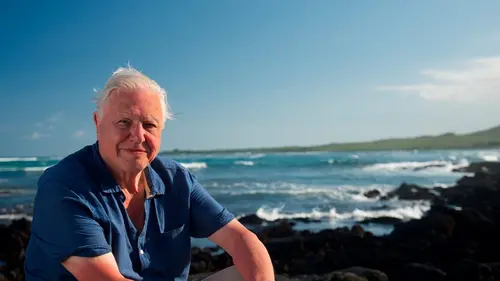 Le tour du monde de David Attenborough Survivants