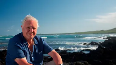 Le tour du monde de David Attenborough Survivants
