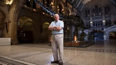 Le tour du monde de David Attenborough Une incroyable aventure