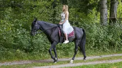 Sturm der Liebe  S17E134