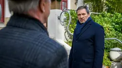 Le tourbillon de l'amour