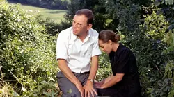 Programme ce soir sur France 5