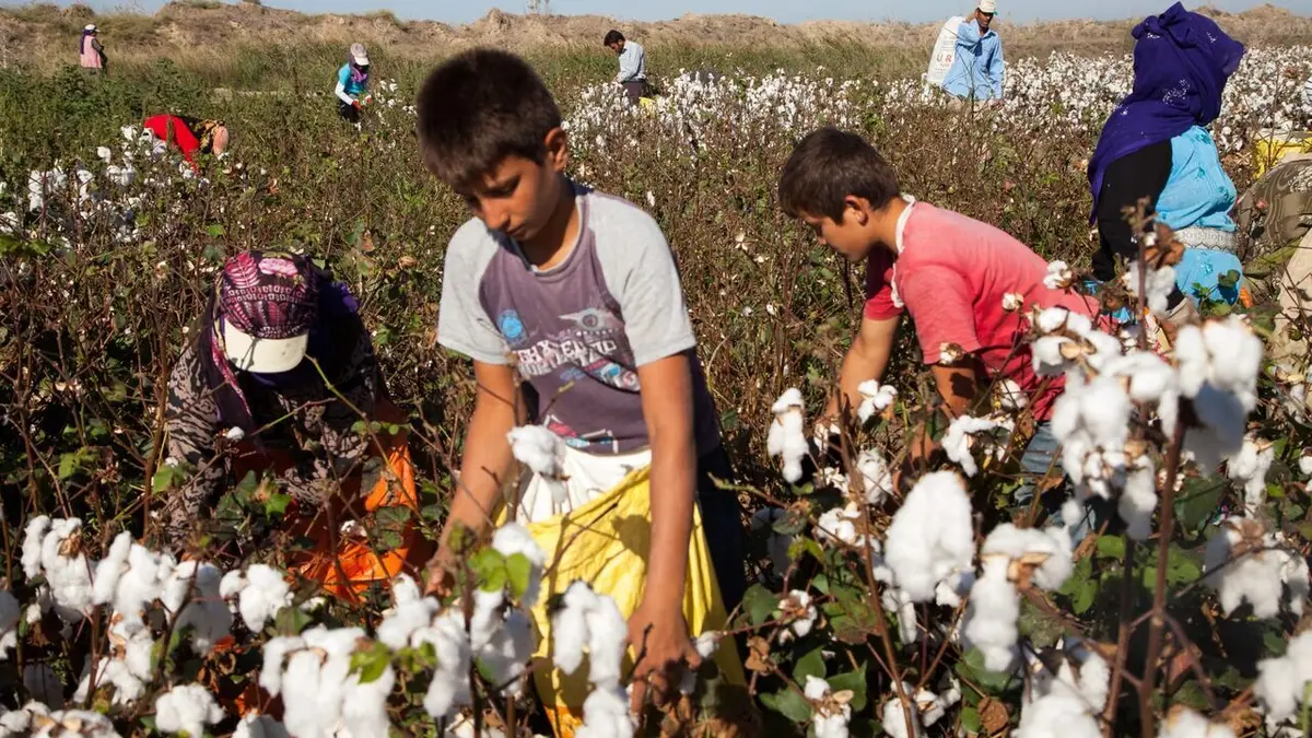 Le travail des enfants en Turquie