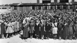 Le travail forcé sous l'Allemagne nazie