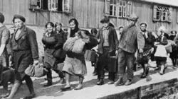 Le travail forcé sous l'Allemagne nazie