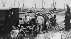 Le travail forcé sous l'Allemagne nazie Une jeunesse perdue